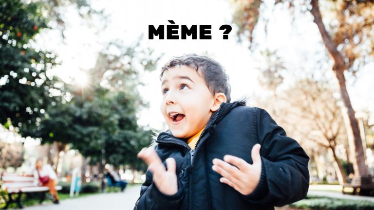 Qu’est-ce qu’un mème sur internet ?