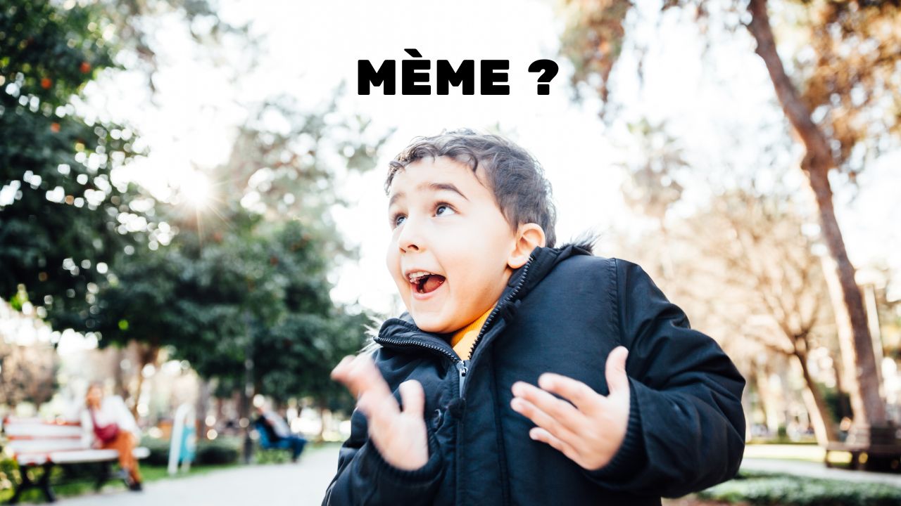Qu’est-ce qu’un mème sur internet ?