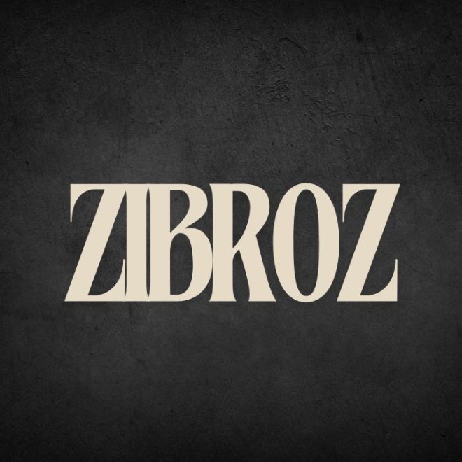 Zibroz : un des sites de streaming à connaître !