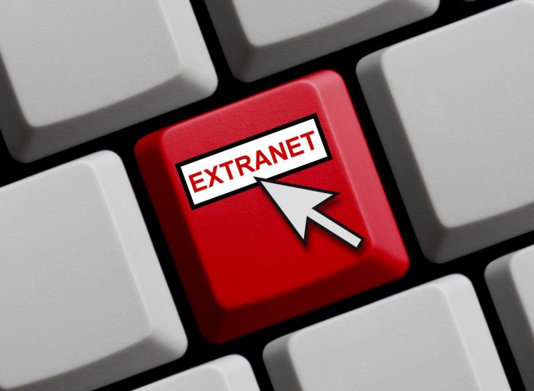 Comment une agence web peut-elle développer un extranet sur mesure ?